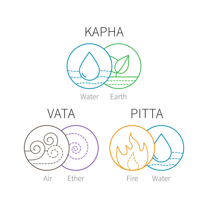 elemental life ayurvede elements
