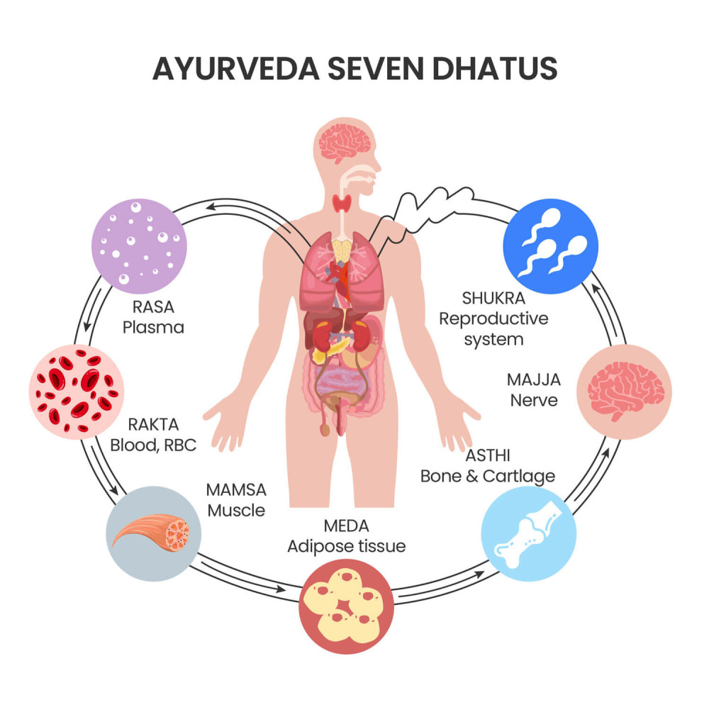 elemental life seven dhatus